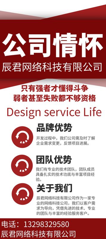辰君网络科技公司