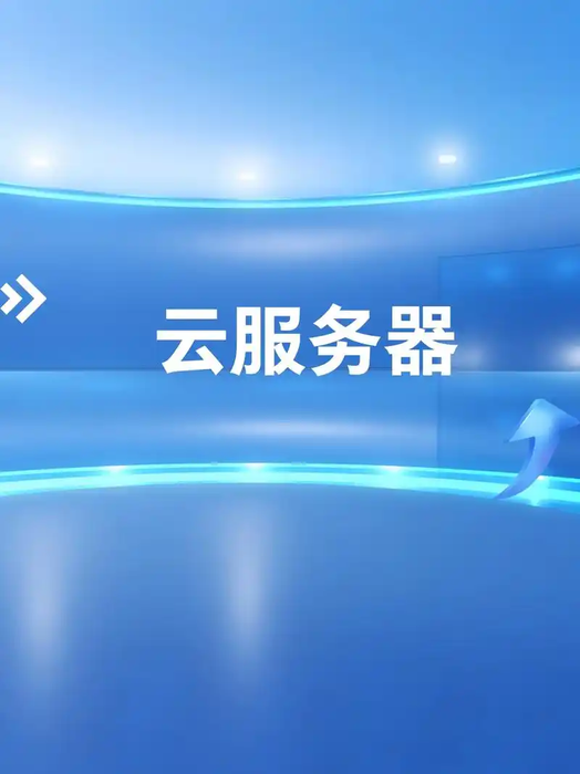 公司应拥有优质服务器资源，具备高带宽、低延迟特点